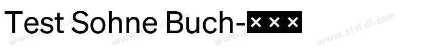 Test Sohne Buch字体转换